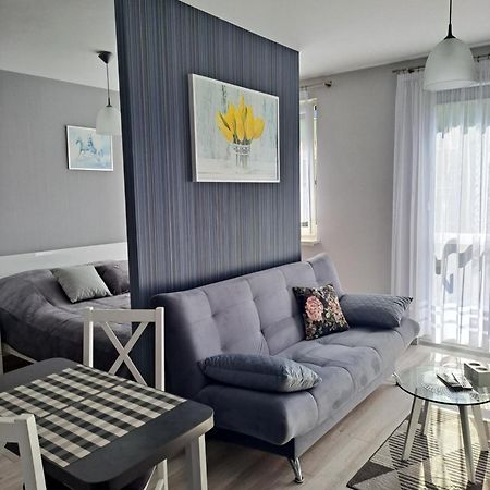 Studio Zabobrze Jelenia Góra Zewnętrze zdjęcie